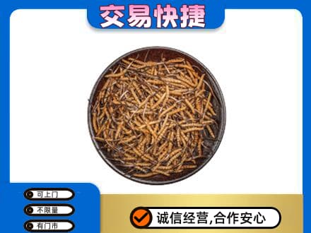 鄂州礼品回收虫草.jpg